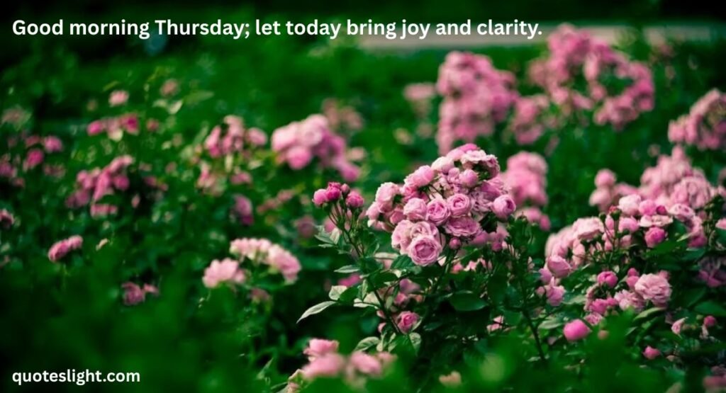 Thursday Morning Quotes