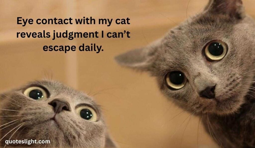 Funny Eye Contact Quotes